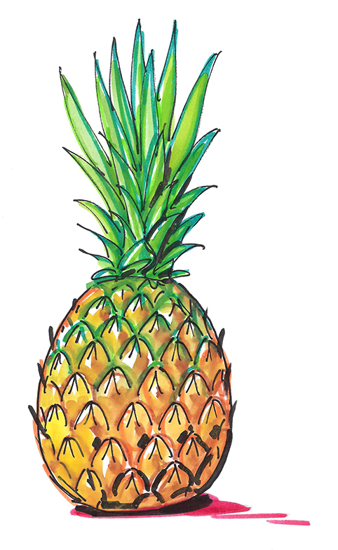 16 ananas